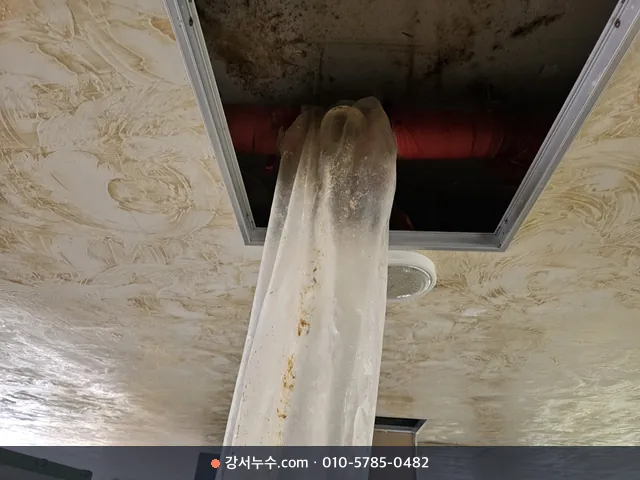 천장 점검구 아래 비닐로 새는 물을 받아 한곳으로 흘려보내는 응급 조치