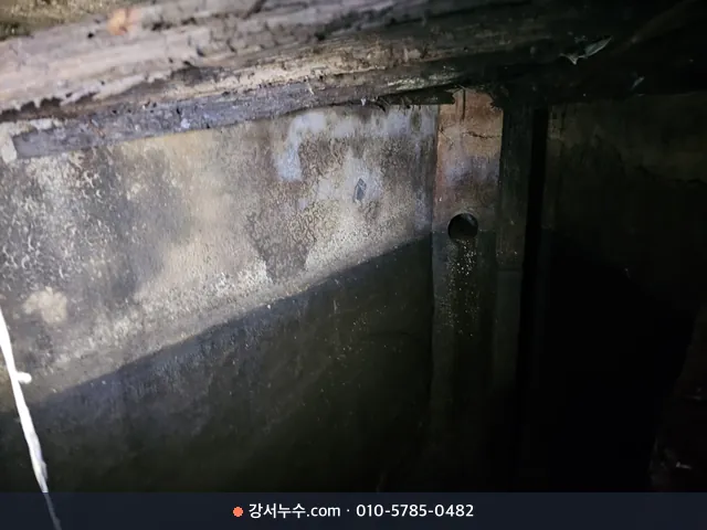 어두운 지하 벽면에 번진 습기와 백화 얼룩
